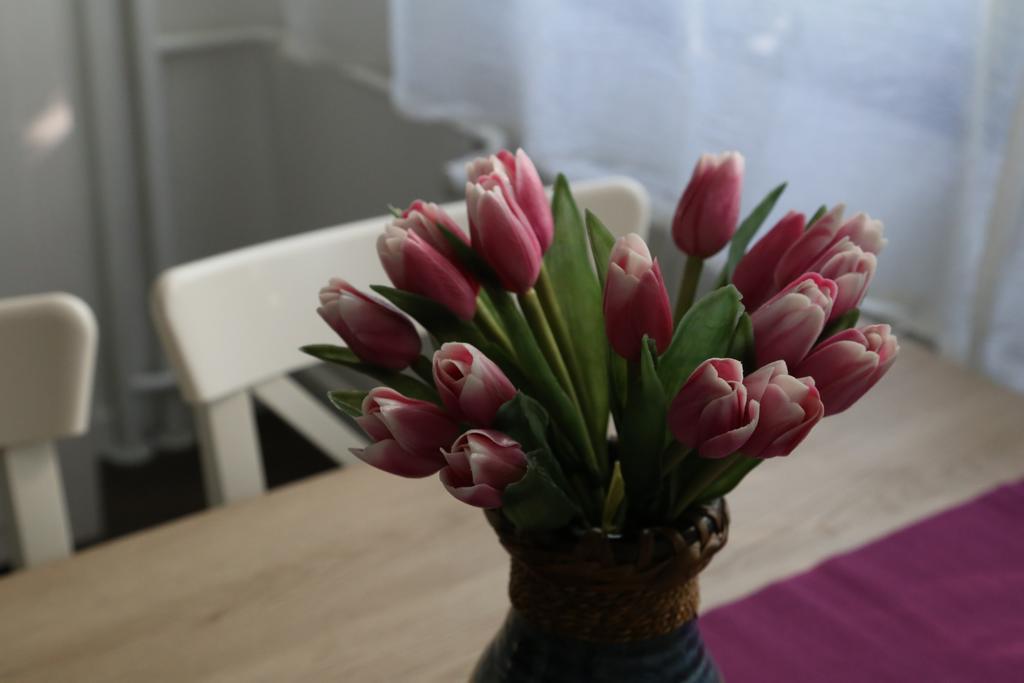 Joop Apartment Загреб Екстериор снимка